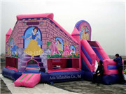 5 In 1 Princess Palace Castles Inflatable Combo Moonwalk