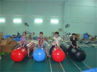 4m Long Pony Hops Inflatables Race Games
