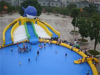Giant Dual Lane Inflatable Dolphin Slide Water Park