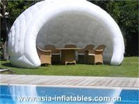 LED Lights  Inflatable Canopy for Exhibition